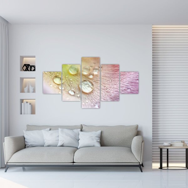Obraz - Kapky rosy (125x70 cm)