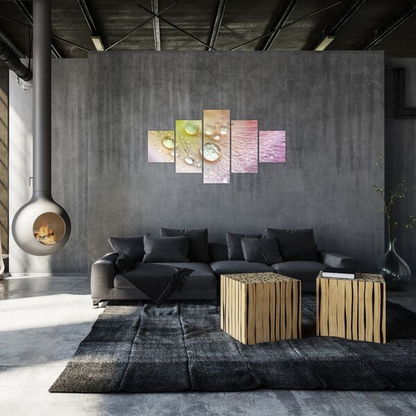 Obraz - Kapky rosy (125x70 cm)