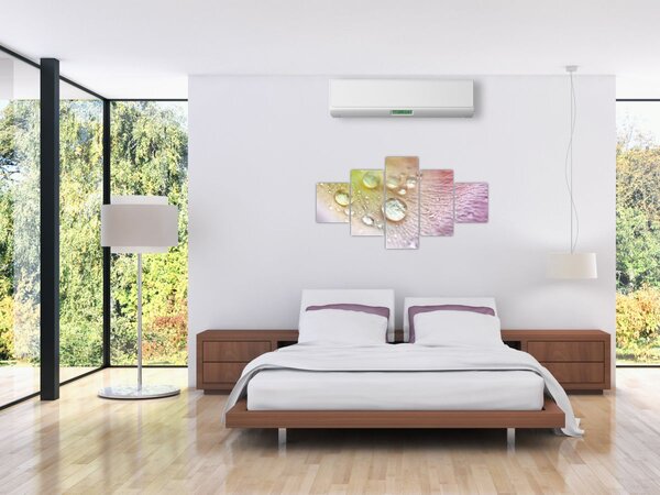 Obraz - Kapky rosy (125x70 cm)