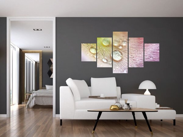 Obraz - Kapky rosy (125x70 cm)