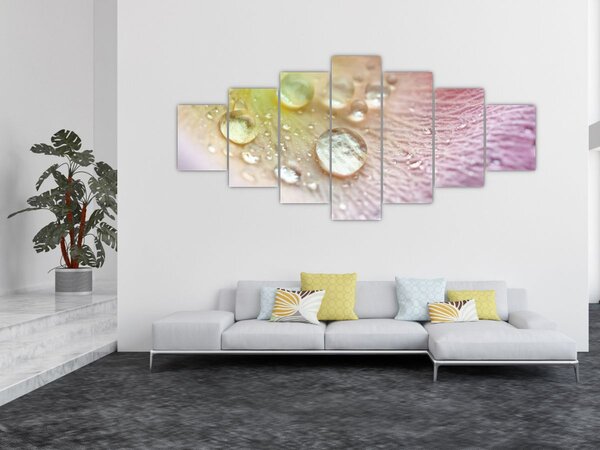 Obraz - Kapky rosy (210x100 cm)