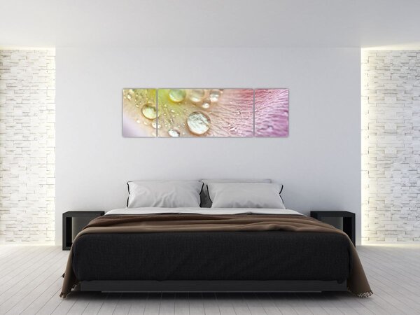 Obraz - Kapky rosy (170x50 cm)