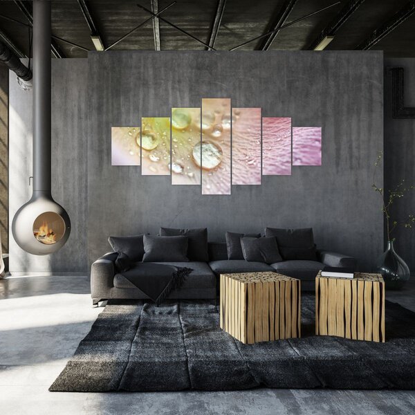 Obraz - Kapky rosy (210x100 cm)