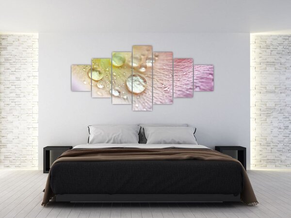 Obraz - Kapky rosy (210x100 cm)