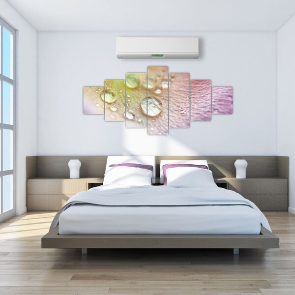 Obraz - Kapky rosy (210x100 cm)