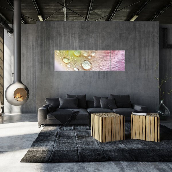 Obraz - Kapky rosy (170x50 cm)