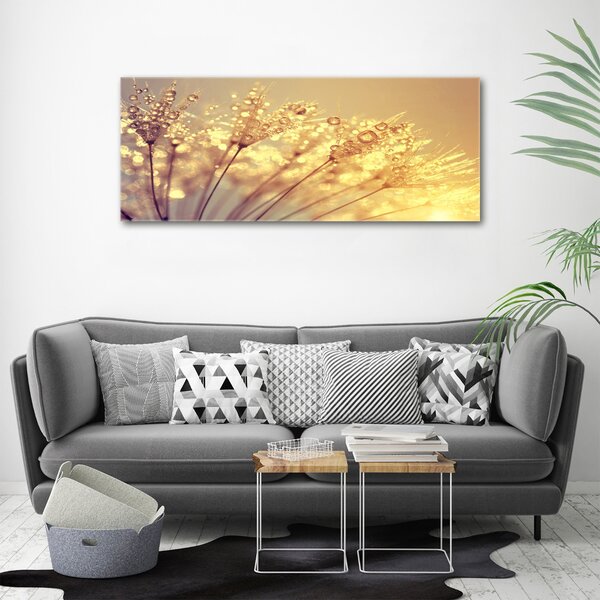 Foto obraz na plátně Semeno pampelišky oc-93546051