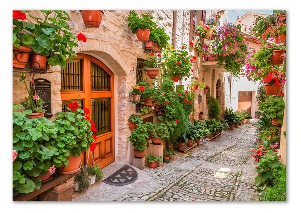 Foto obraz skleněný horizontální Okouzlující ulička osh-93996626