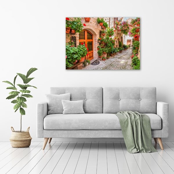 Foto obraz canvas Okouzlující ulička oc-93996626