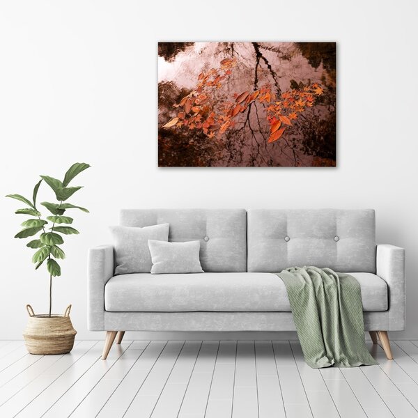 Moderní fotoobraz canvas na rámu Listí na vodě oc-94898362