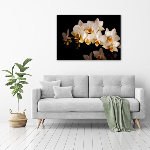 Fotoobraz na skle Orchidej osh-95410450