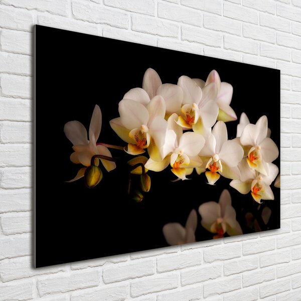 Fotoobraz na skle Orchidej osh-95410450