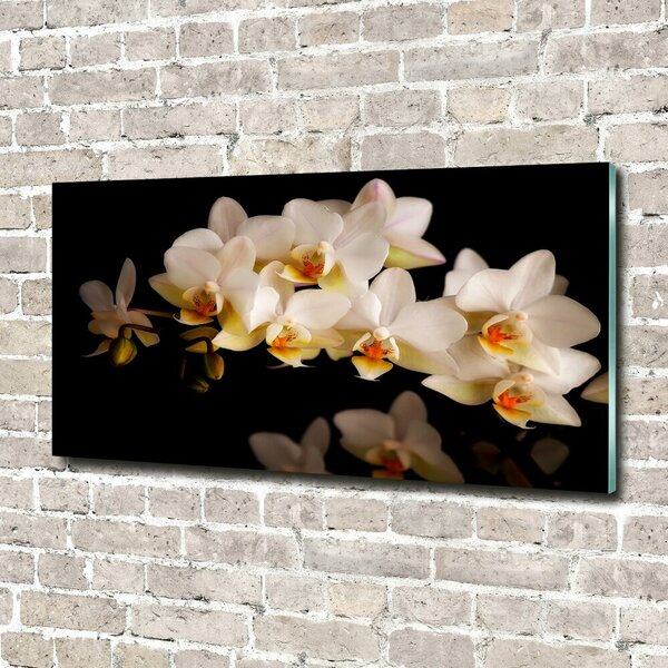 Fotoobraz na skle Orchidej osh-95410450