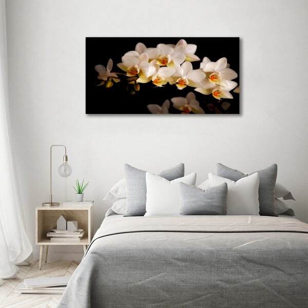Fotoobraz na skle Orchidej osh-95410450