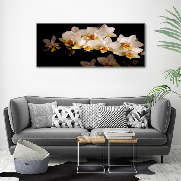 Fotoobraz na skle Orchidej osh-95410450