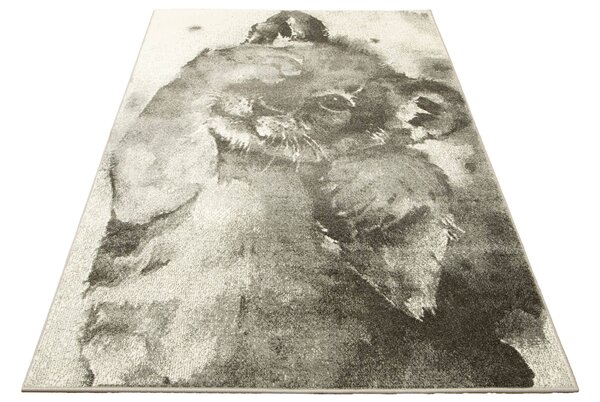 Makro Abra Dětský kusový koberec Lima 9362A Lvíček šedý Rozměr: 120x170 cm