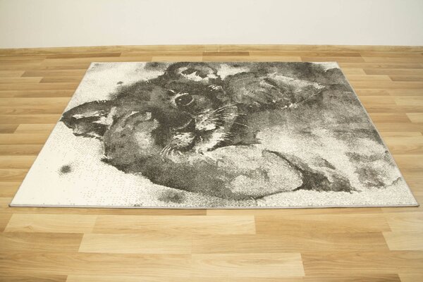 Makro Abra Dětský kusový koberec Lima 9362A Lvíček šedý Rozměr: 120x170 cm