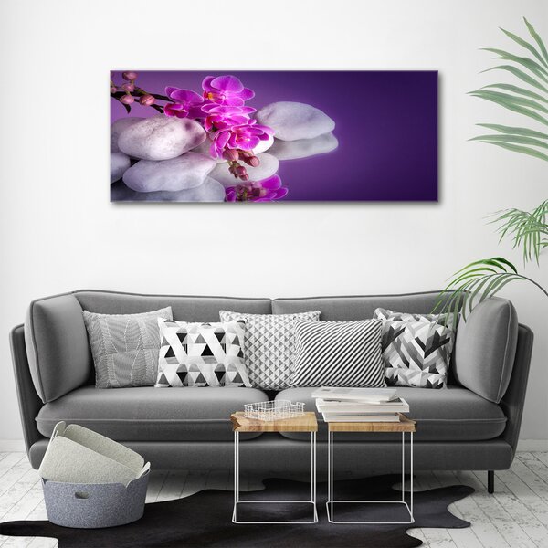 Foto obraz na plátně do obýváku Orchidej oc-95985496
