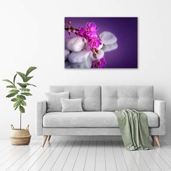 Foto obraz na plátně do obýváku Orchidej oc-95985496