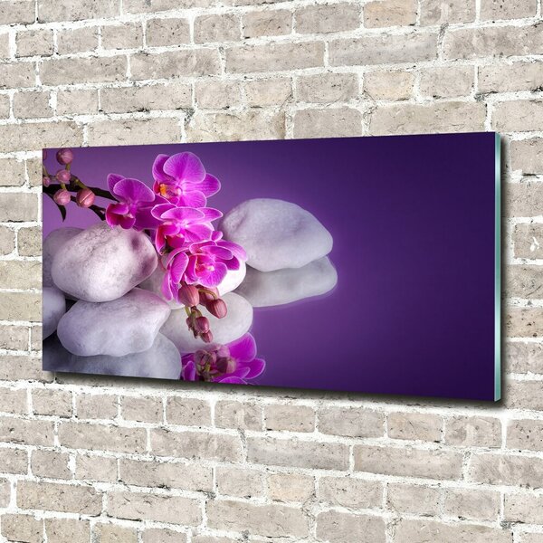 Foto obraz sklo tvrzené Orchidej osh-95985496