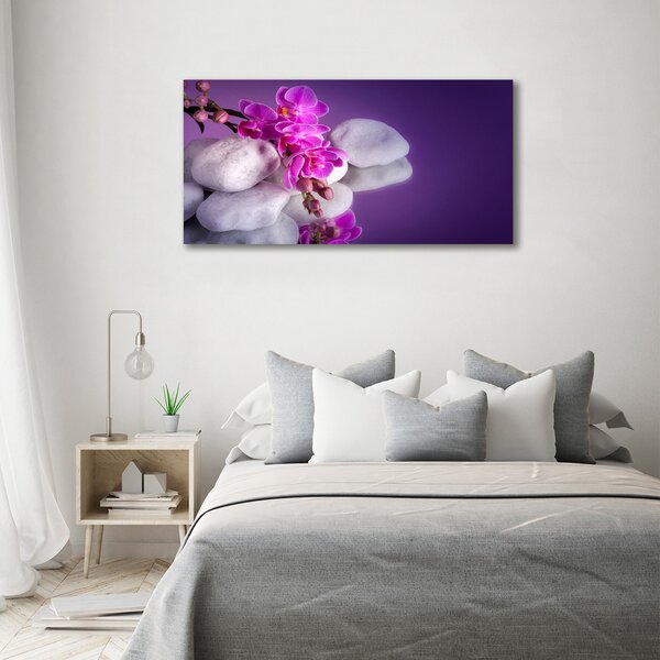 Foto obraz na plátně do obýváku Orchidej oc-95985496