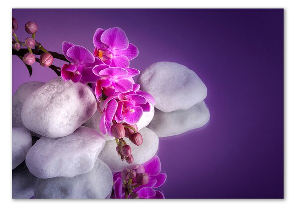 Foto obraz sklo tvrzené Orchidej osh-95985496