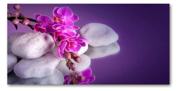 Foto obraz sklo tvrzené Orchidej osh-95985496