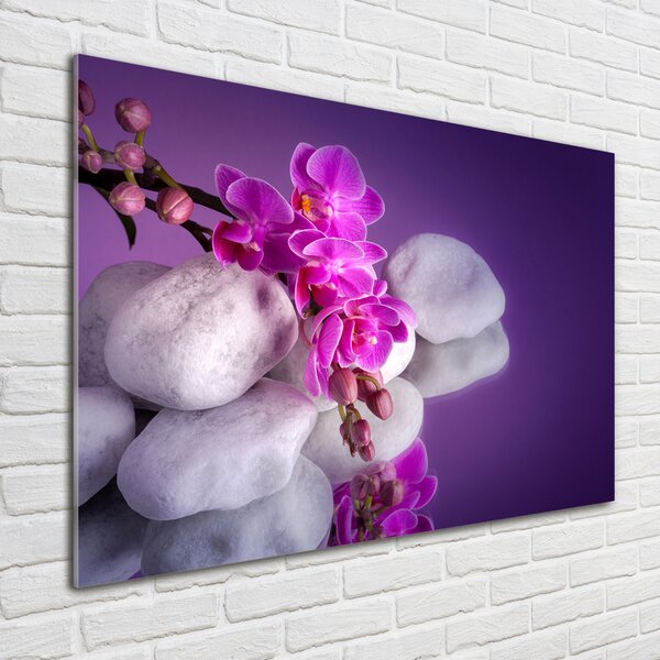 Foto obraz sklo tvrzené Orchidej osh-95985496