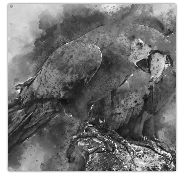 Obraz - Akvareloví papoušci (30x30 cm)
