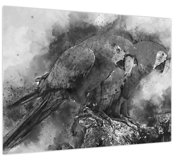 Obraz - Akvareloví papoušci (70x50 cm)