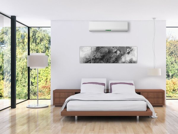 Obraz - Akvareloví papoušci (170x50 cm)