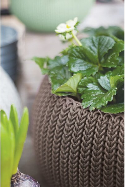 Plastový závěsný květináč ø 28 cm Cozy – Keter