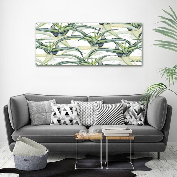 Foto obraz na plátně Aloes oc-96215866