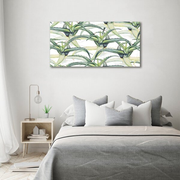 Foto obraz sklo tvrzené Aloes osh-96215866