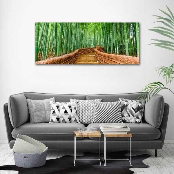 Moderní fotoobraz canvas na rámu Bambusový les oc-97156437
