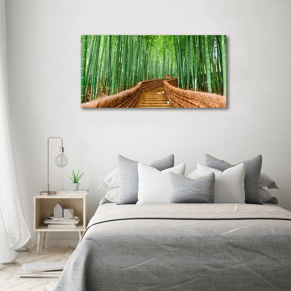 Moderní fotoobraz canvas na rámu Bambusový les oc-97156437