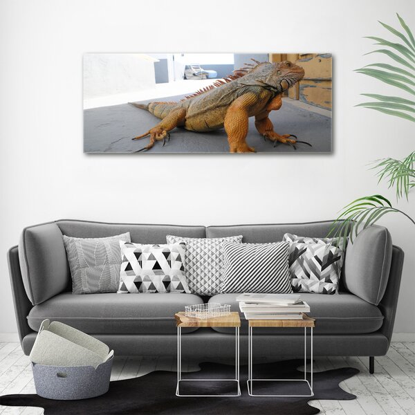 Foto obraz na plátně Iguana oc-97700993