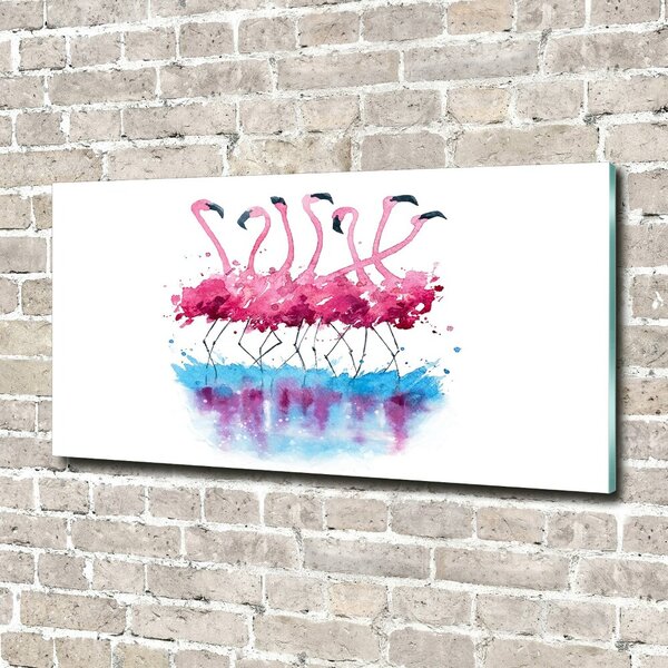 Foto obraz sklo tvrzené Plemeňáci osh-98015396