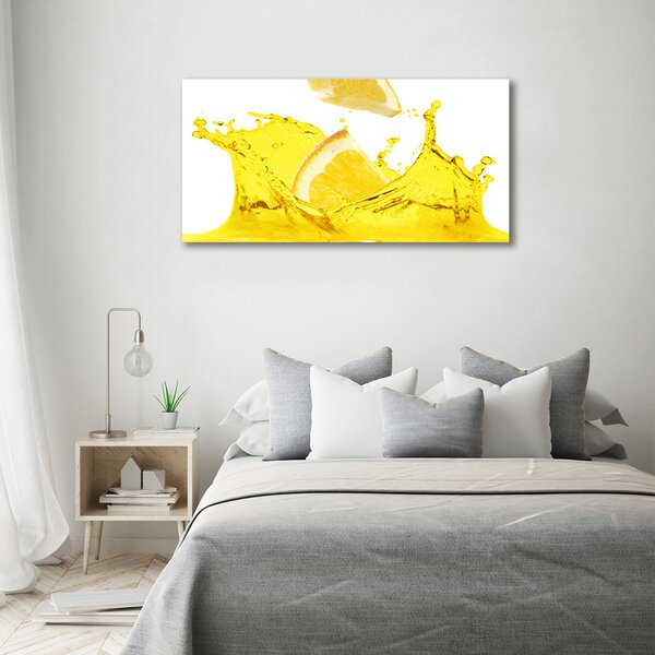 Foto obraz na plátně do obýváku Plátky citronu oc-98570020