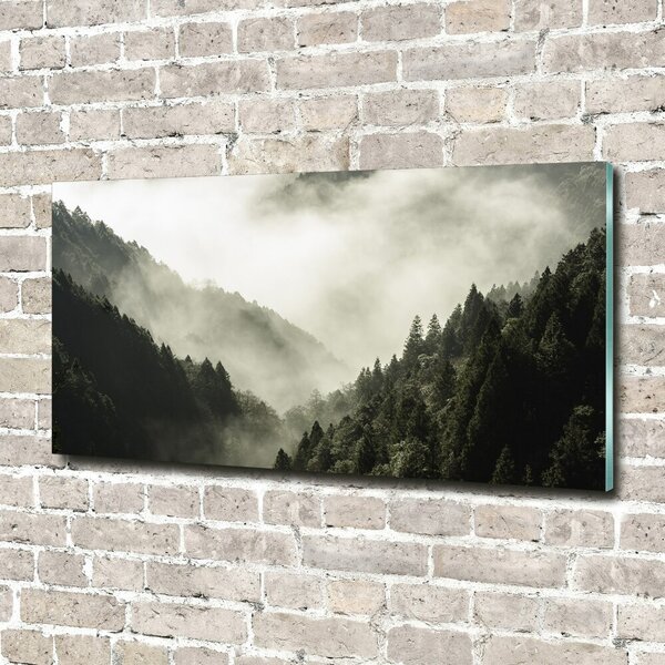 Foto obraz fotografie na skle Mlha nad lesem osh-98626353
