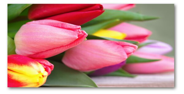 Foto obraz fotografie na skle Barevné tulipány osh-98761222