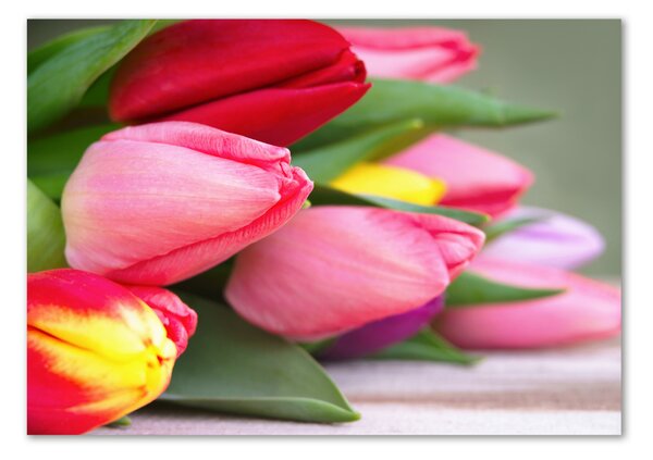 Foto obraz fotografie na skle Barevné tulipány osh-98761222