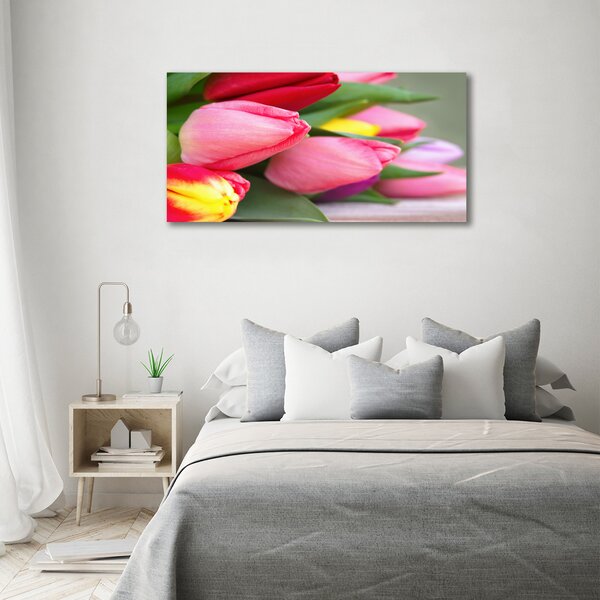 Foto obraz na plátně Barevné tulipány oc-98761222