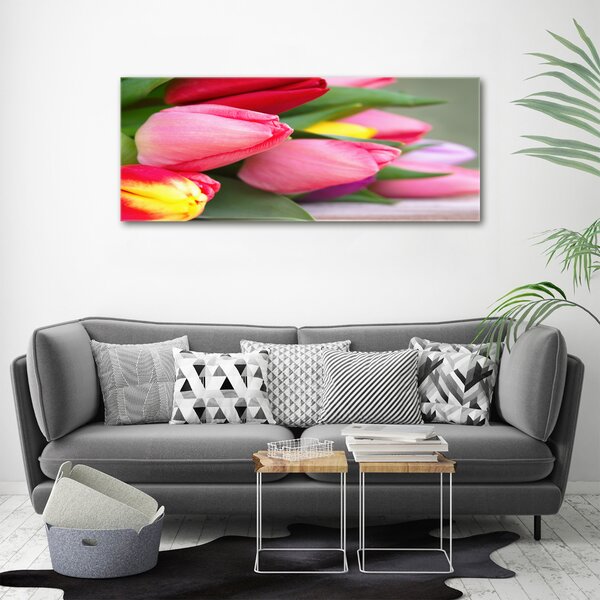 Foto obraz na plátně Barevné tulipány oc-98761222