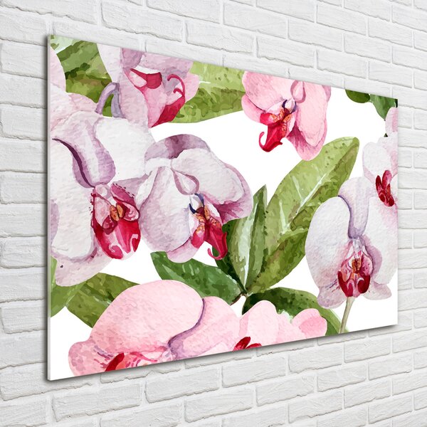 Fotoobraz na skle Růžové orchideje osh-98952398