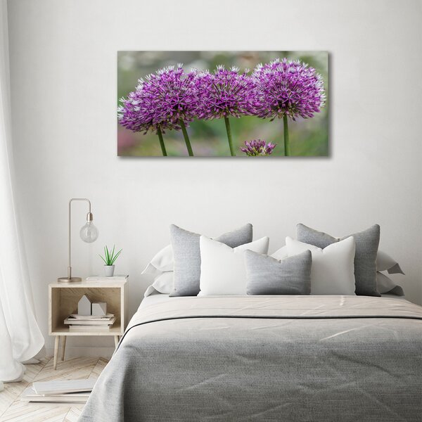 Foto obraz sklo tvrzené Květ česneku osh-99551256