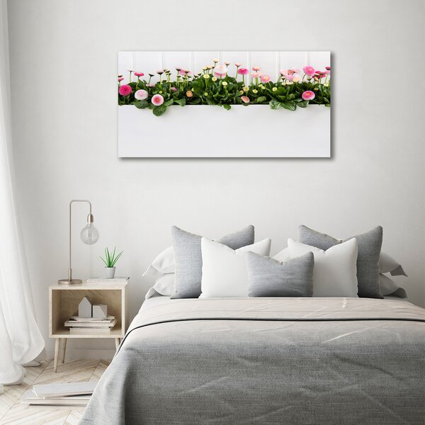 Foto obraz skleněný horizontální Růžové sedmikrásky osh-99649628