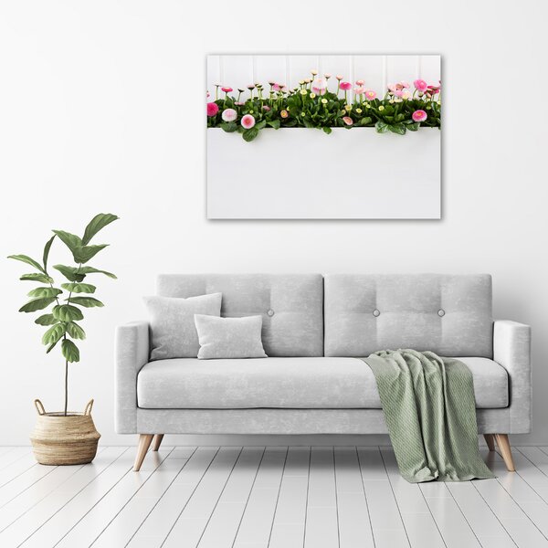 Foto obraz skleněný horizontální Růžové sedmikrásky osh-99649628