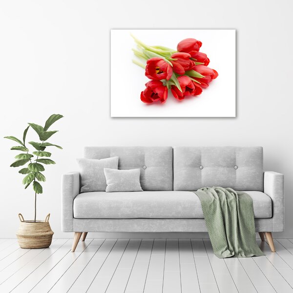 Foto obraz na plátně Červené tulipány oc-99817079