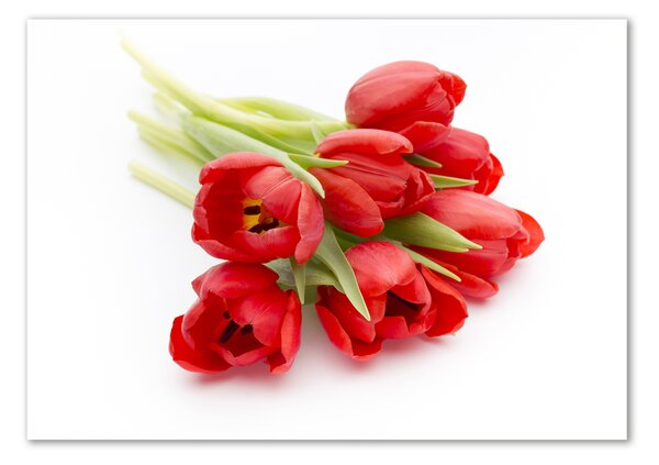 Foto obraz skleněný horizontální Červené tulipány osh-99817079